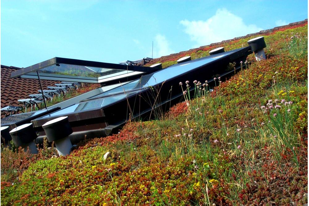 Pilotkurs „Qualifizierung Gebäudebegrünung“ an der DEULA Kirchheim/Teck startet im Januar